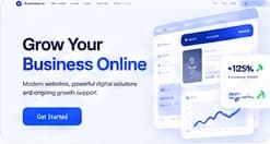 The E-commerce site