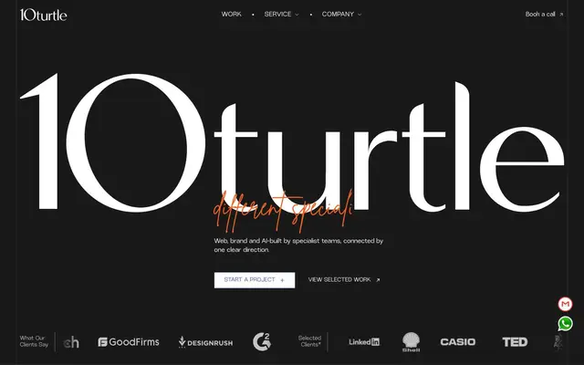 10turtle website
