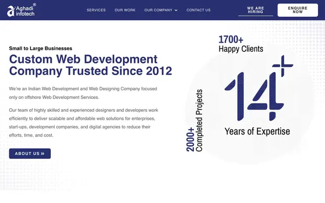 Aghadi Infotech website