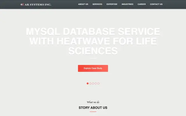 AK Systems (India) Pvt. Ltd. website