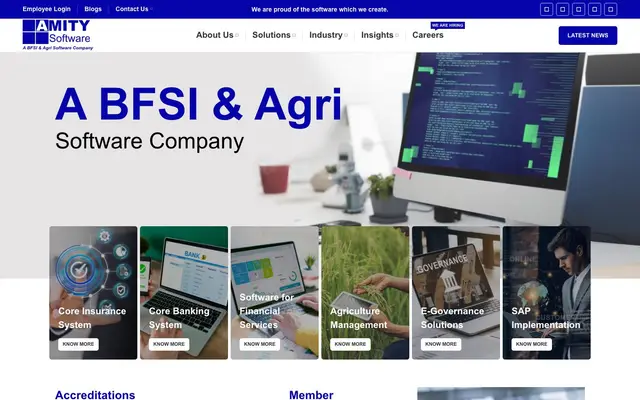 Amity Software Limited website