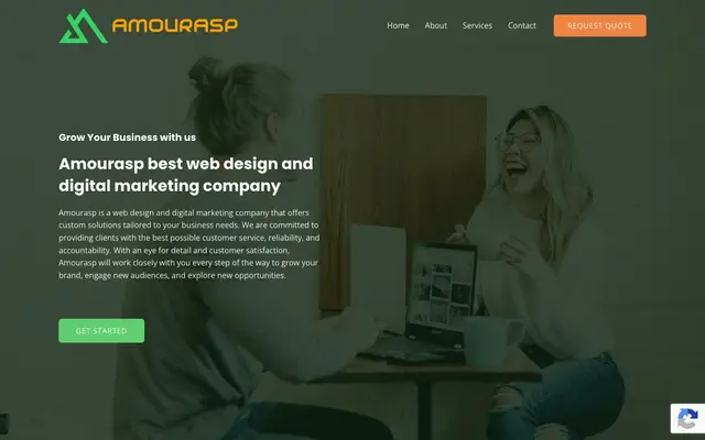 Amourasp Web Design and Digital Marketing Agency website
