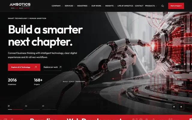 Website Designer Delhi Branch - Amsotics website