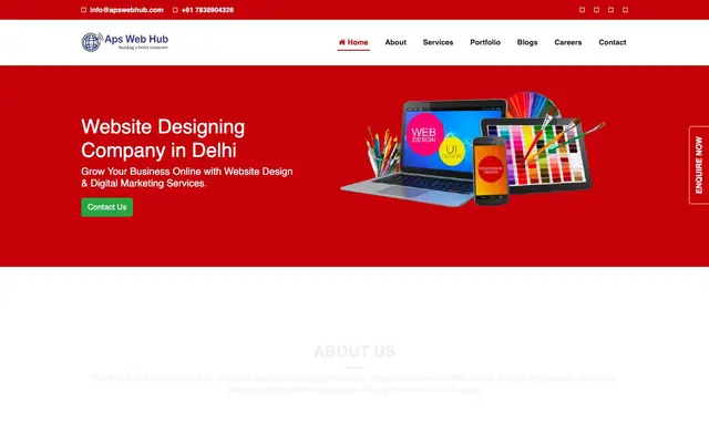 Aps Web Hub - Website Desinging Company website