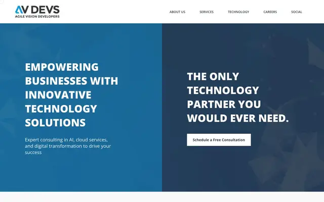 AV DEVS Solutions Pvt. ltd. website