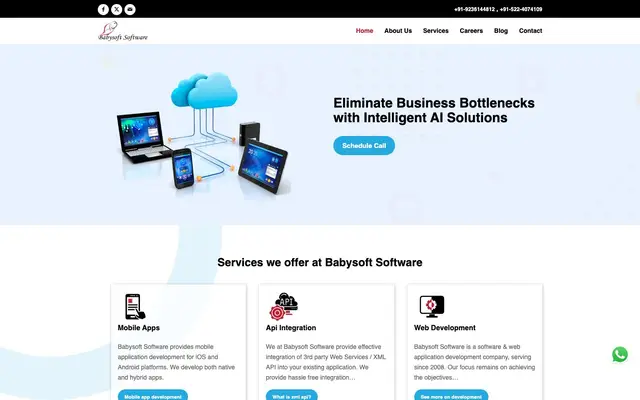 Babysoft Software website