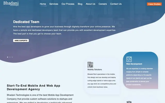 Bhadani Technologies Private Limited website