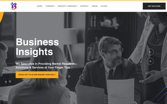 BI InfoTech Pvt Ltd website