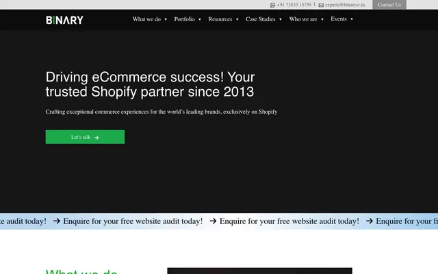 Binary Web Solutions - Shopify & Ecommerce Experts website