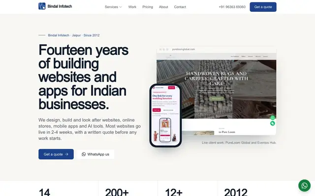 Bindal Infotech website