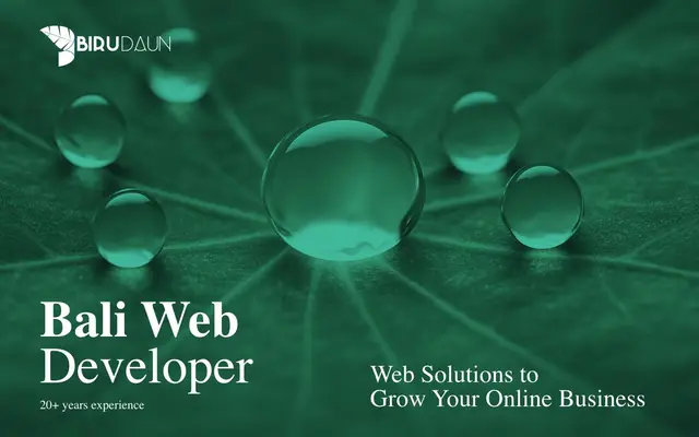 BiruDaun Web Studio website