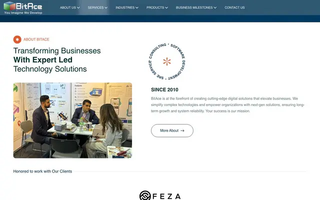 BitAce Technologies Pvt. Ltd. website