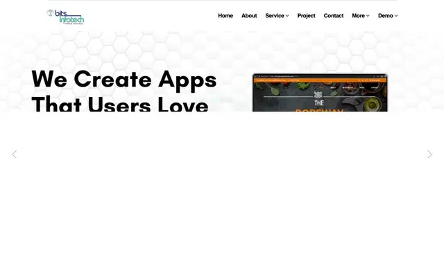 Bits Infotech website