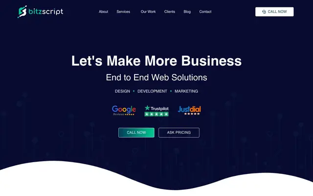 Bitzscript Solutions website