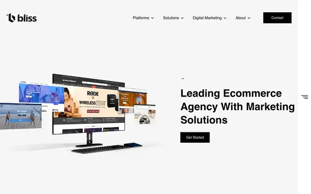 Bliss Web Solution Pvt. Ltd website
