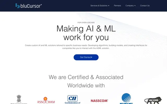 bluCursor Infotech Pvt Ltd website