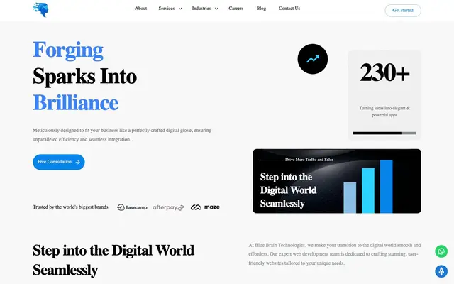 Blue Brain® Technologies Pvt Ltd website