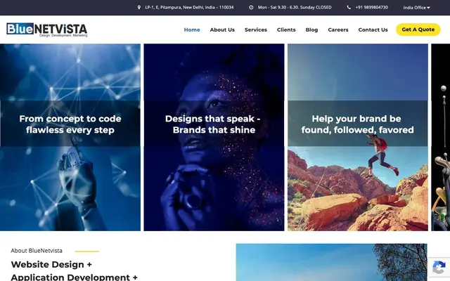 BlueNetVista website