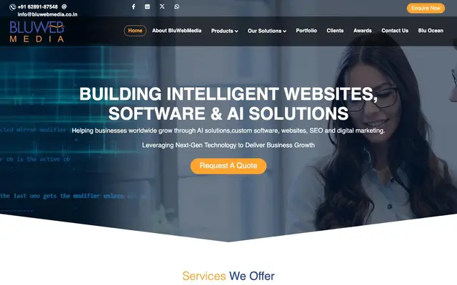 BluWebMedia IT Services Pvt. Ltd website