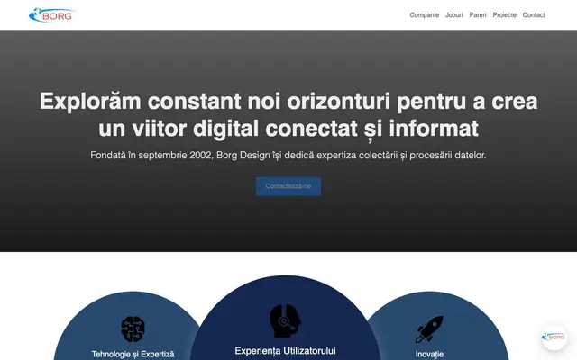 Borg Design website