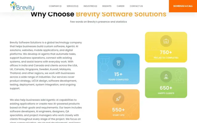 Brevity Software Solutions website