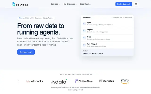 Brilworks website