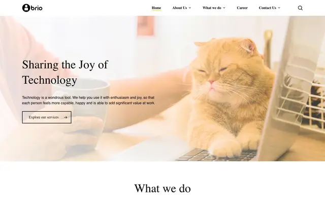 Brio Technologies Private Limited website