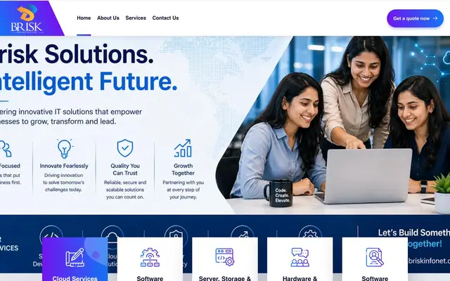 Brisk Infonet Private Limited website
