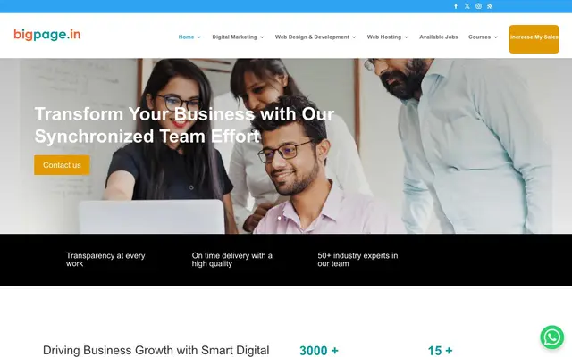 Bigpage - Website Design and Development - Web Hosting Company in Kolkata website