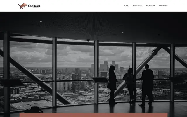 Capitalist Softech Pvt Ltd website