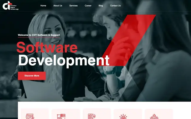 CDT Software Support Private Limited website