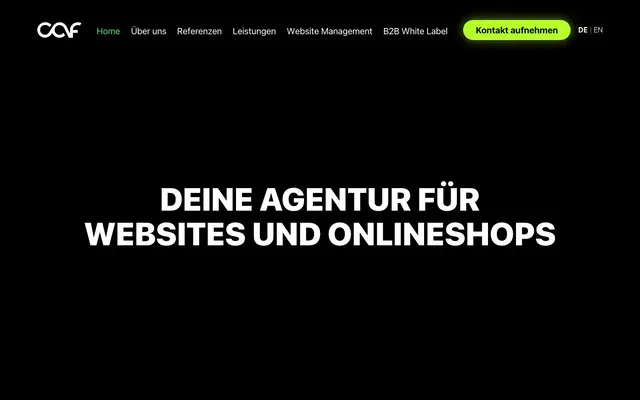 chris and friends website