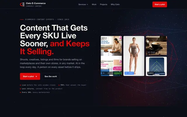 Cielo Ecommerce Private Limited website