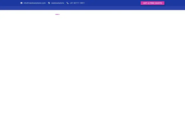 Ciesto Solutions website