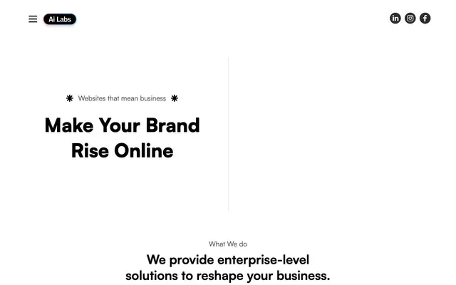 CodeBiosis Private Limited website