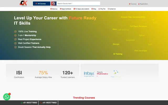 IT Software Companies website
