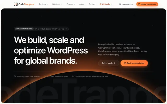 CodeTrappers - WordPress Development, Maintenance and Support website