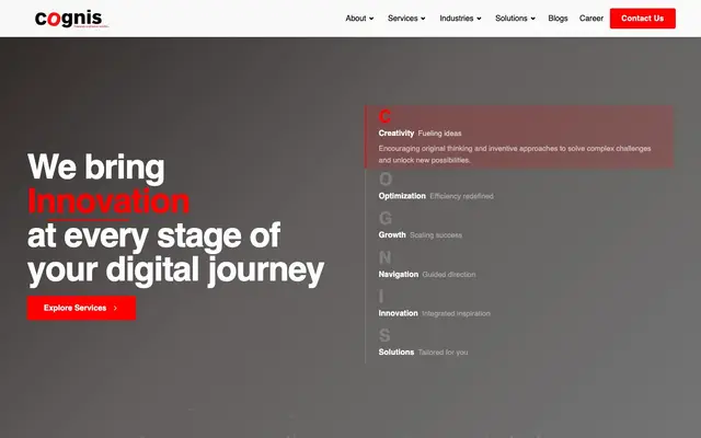 Cognis Solutions Pvt Ltd website