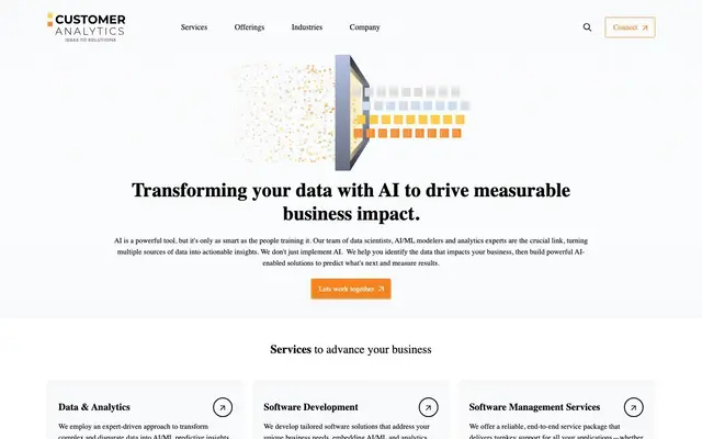 Customer Analytics India Pvt Ltd website