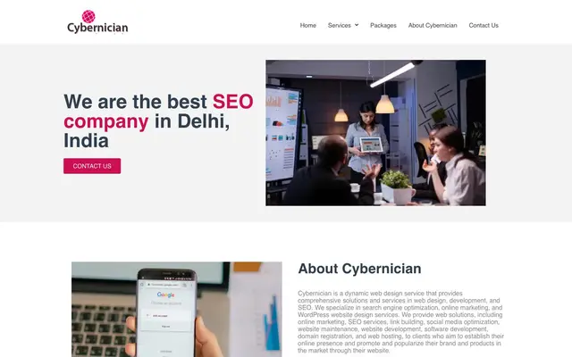 Cybernician - Web Designing Company website