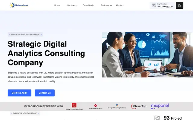 Dataculous - Strategic Digital Analytics Consulting Company website