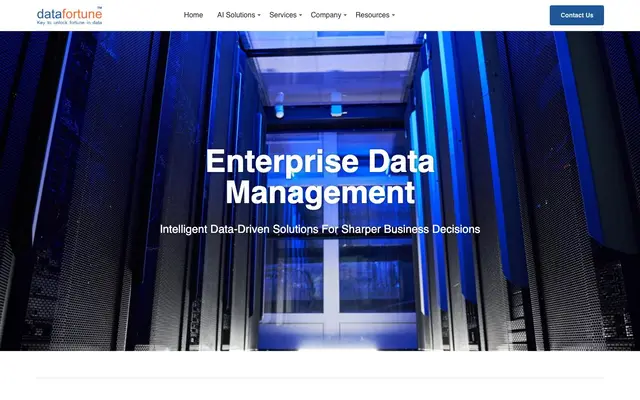 Datafortune Software Solutions Pvt. Ltd. website