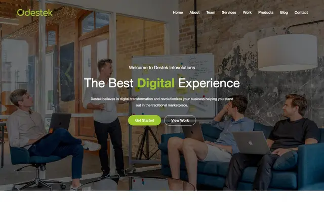 Destek Infosolutions Pvt Ltd website