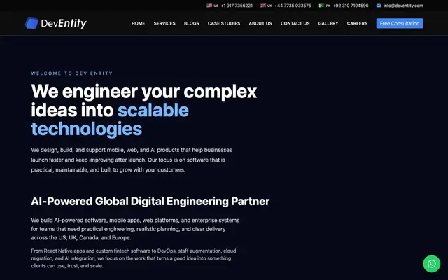 Dev Entity (Software Development Company 50% OFF) website