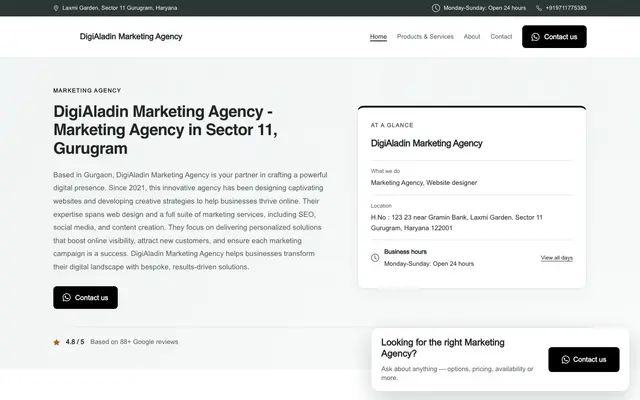 DigiAladin Marketing Agency website