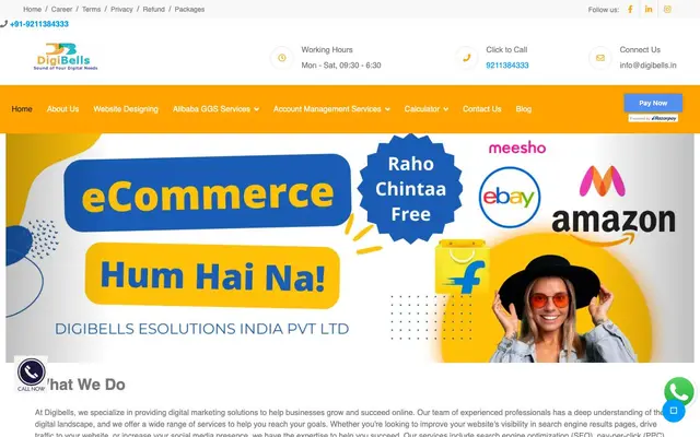 Digibells esolutions india private limited website