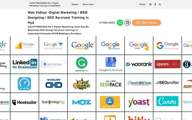 Web Vidhya website
