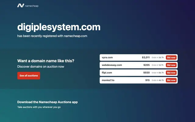 Digiple System Pvt. Ltd. website