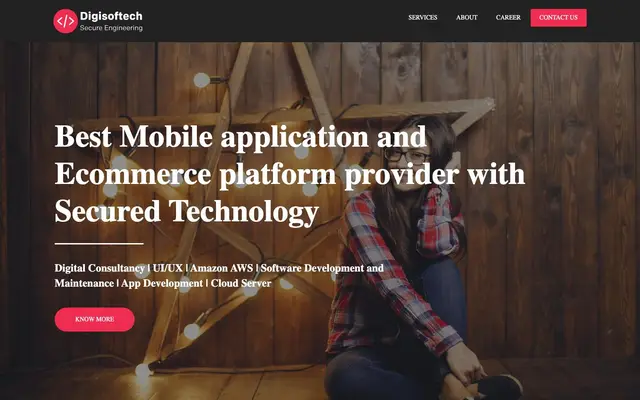 Digisoftech website