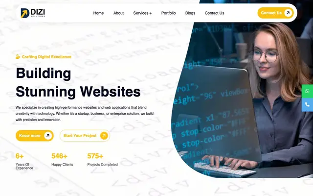 Dizi Solutions website